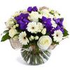    />&nbsp; &nbsp; &nbsp;&nbsp;<IMG class=