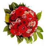    />&nbsp; &nbsp;<IMG class=